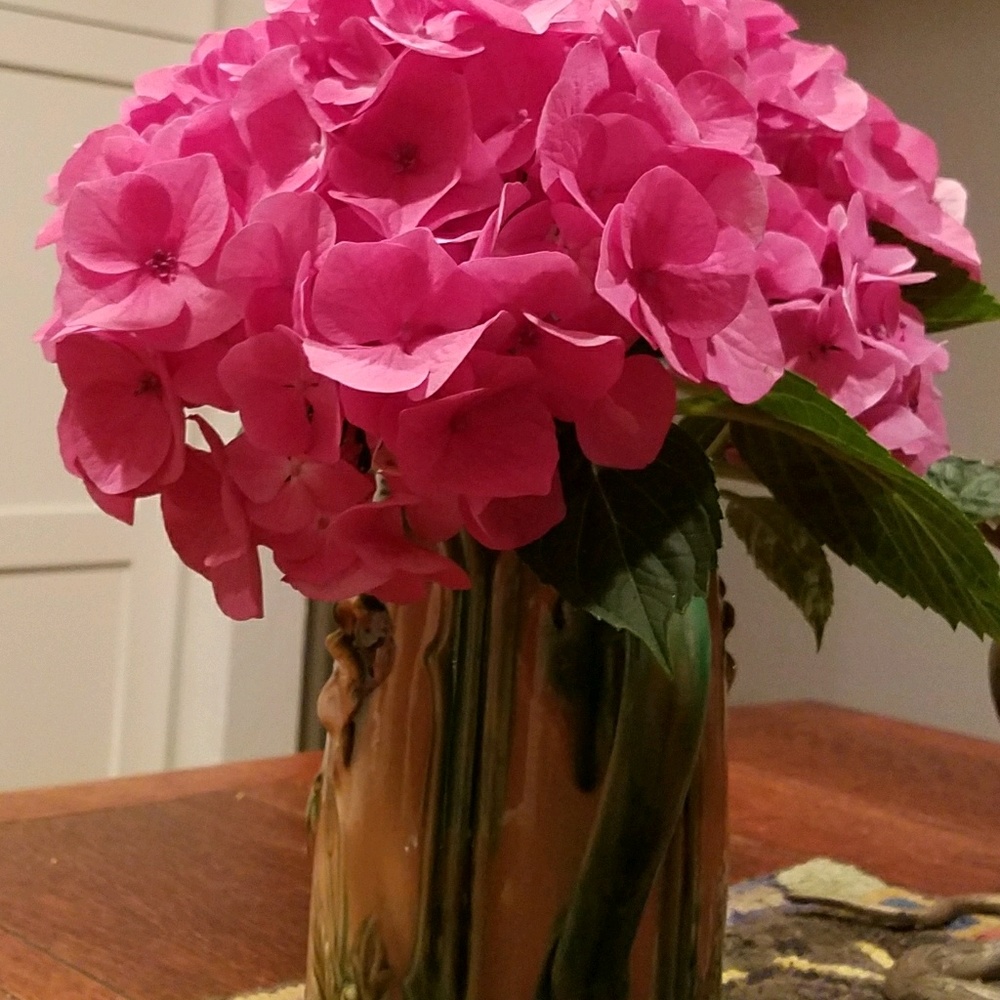 Meet your Posher, Cecilia